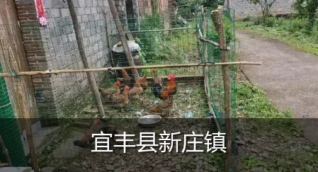 宜丰县新庄镇