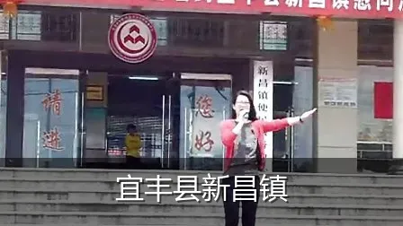 宜丰县新昌镇