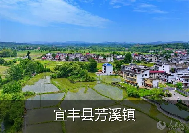 宜丰县芳溪镇