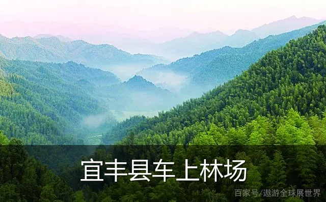 宜丰县车上林场